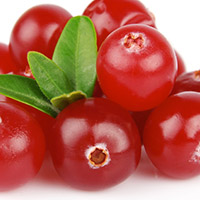 cranberry