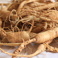 ginseng